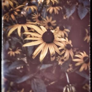 Meet your Posher, Marlene